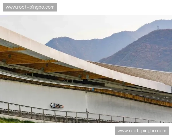 英国钢架雪车仅列第八 争冠梦碎后队伍进入调整期 英国钢架雪车仅列第八 争冠梦碎后队伍进入调整期